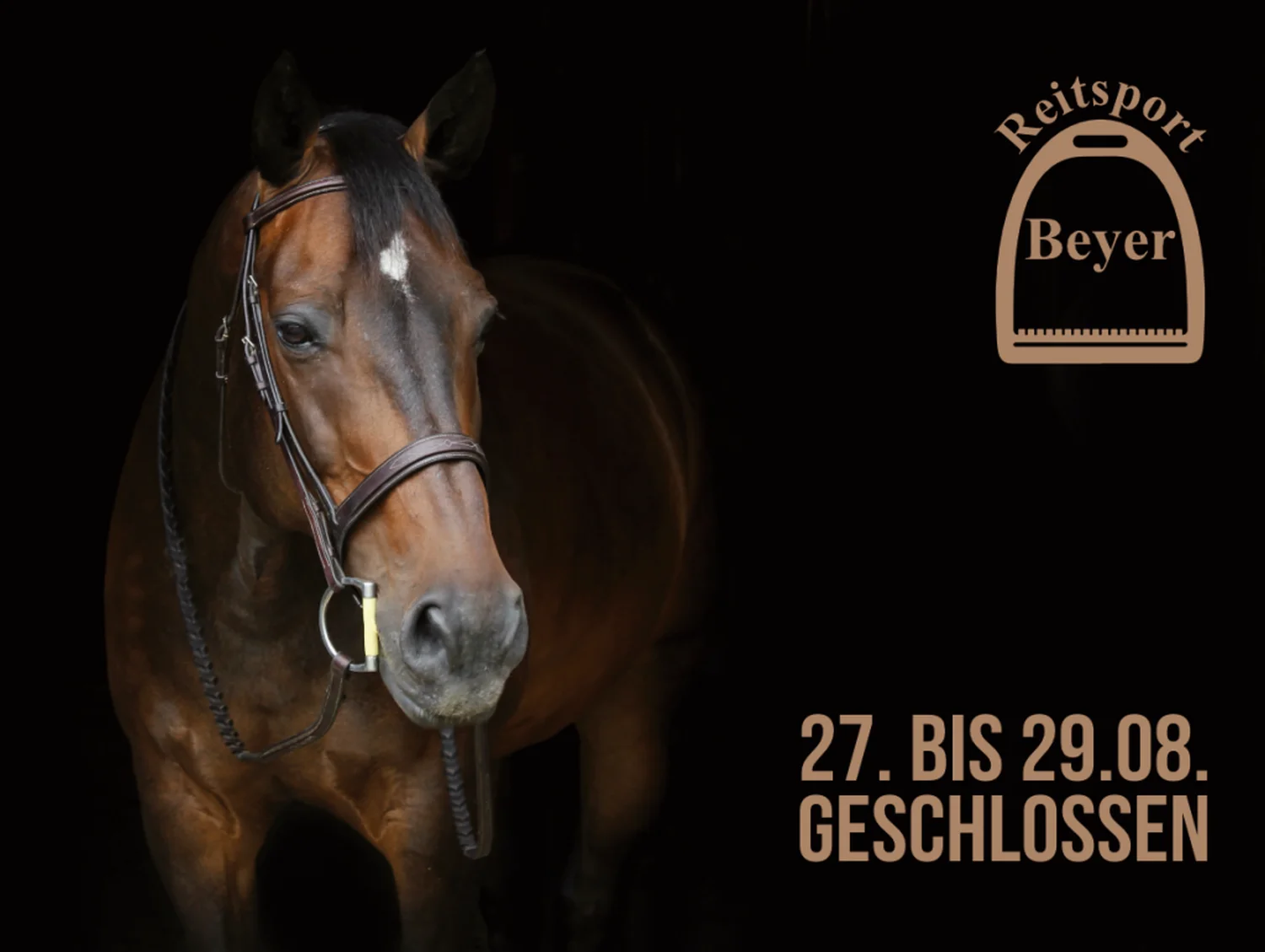 Reitsport Beyer - Flugblatt