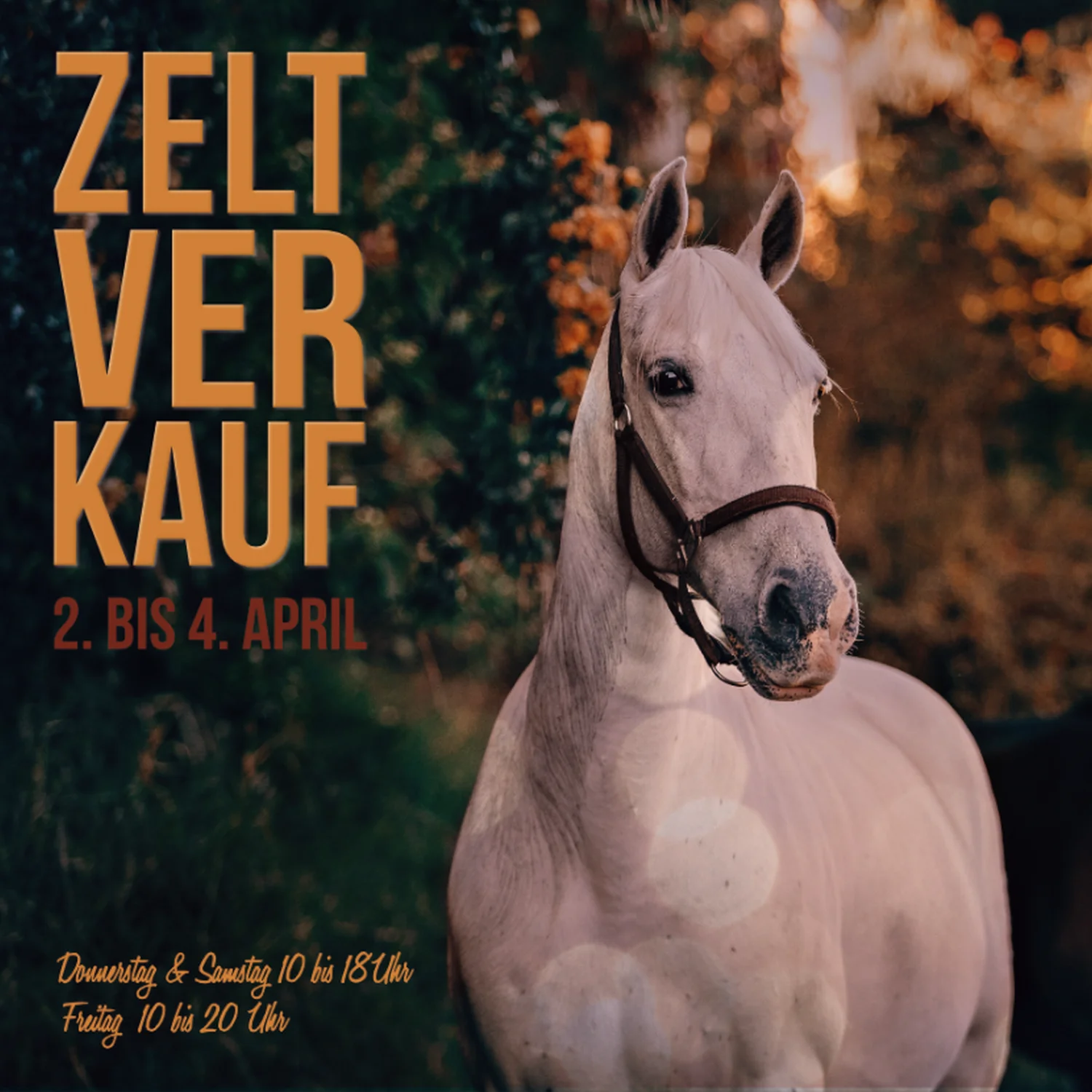 Reitsport Beyer - Flugblatt