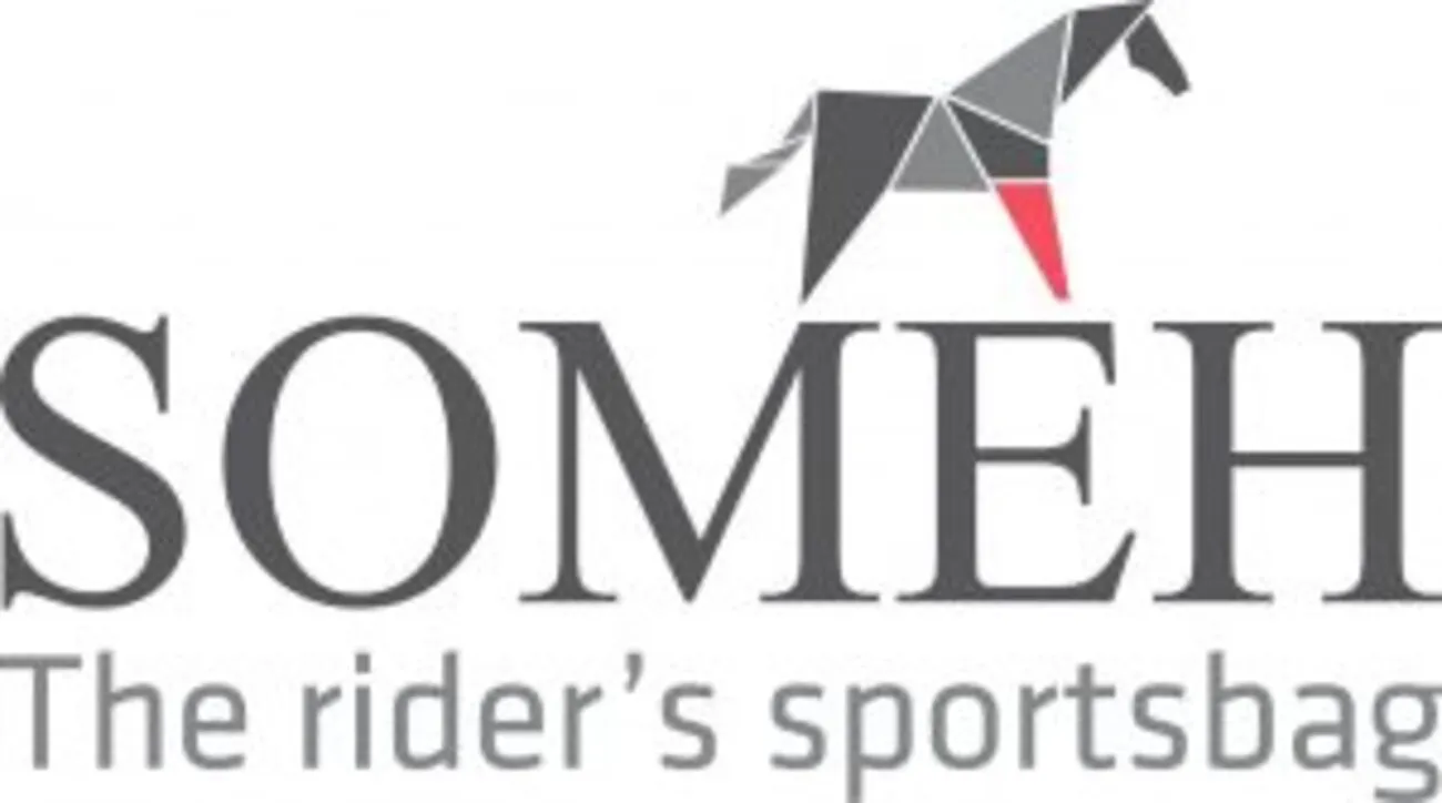 Someh logo