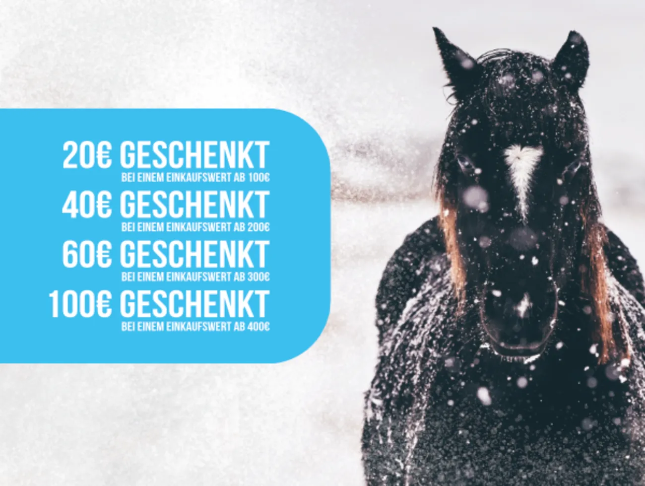 Reitsport Beyer - Flugblatt