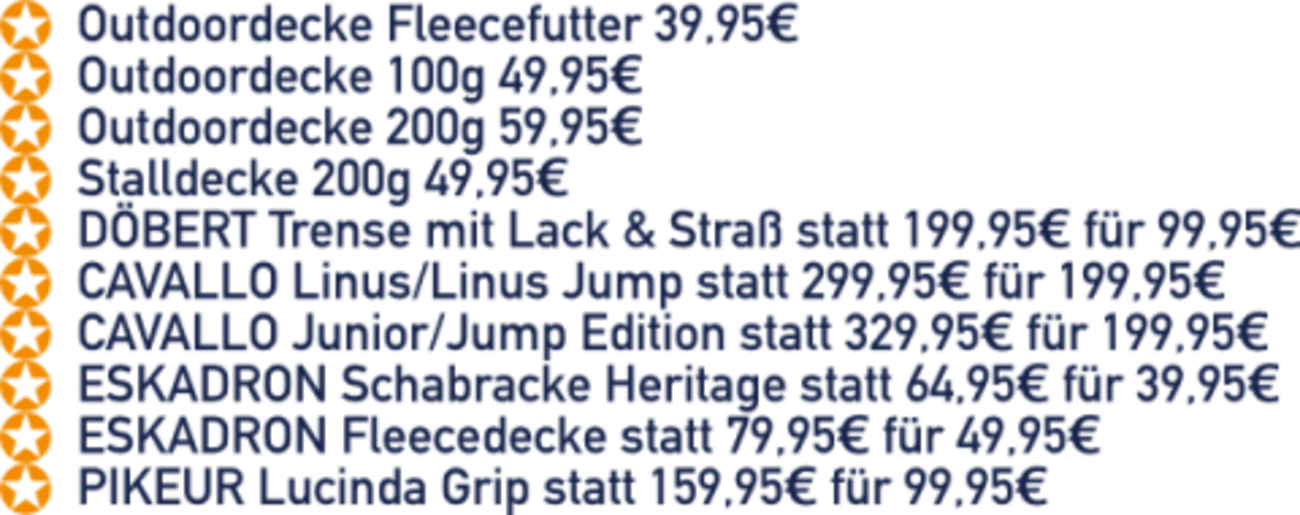 Reitsport Beyer - Flugblatt