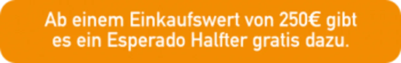 Reitsport Beyer - Flugblatt